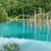 こにたんの画像