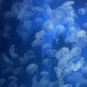 .の画像
