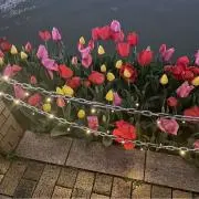 プチ