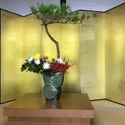 ドンなんやねんの画像