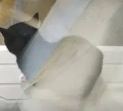 Nの画像