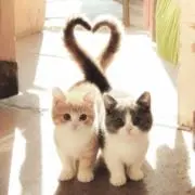 kinnnnjの画像
