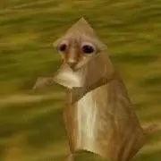 アンドリューの画像