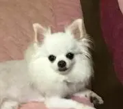 しょうこ※プロフィール必読
