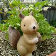 えるもんの画像