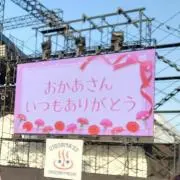 トミの画像