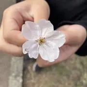 myu☺︎の画像