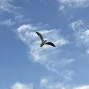 喫茶の画像