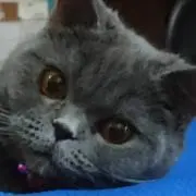 ルナ