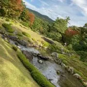 アカツキの画像
