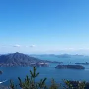 ちっちの画像