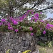 3SSSLOVEの画像