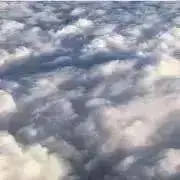 フィンセント・ファン・ゴッホの画像