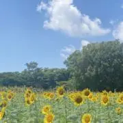 HIROの画像