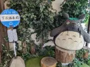 Nicoの画像