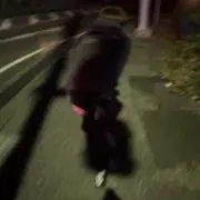 ボンタンアメの画像