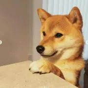 ☆