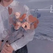 Nの画像