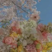 ヤナさんの画像