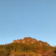 moguboの画像