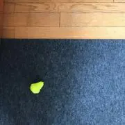 ずむの画像