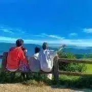 T&M familyの画像