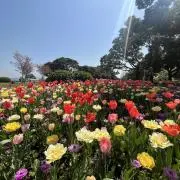 u.kの画像