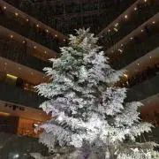 あおの画像