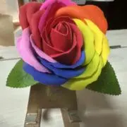 ゆきんこの画像