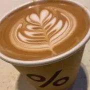 ヤンマーの画像