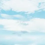 きなこの画像