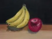 ひよこの画像