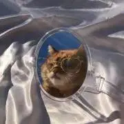 りんの画像