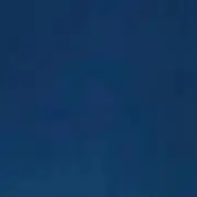 ゆりの画像
