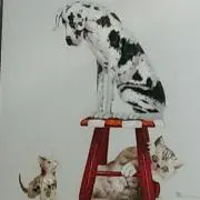 ペチャップの画像