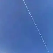 しょーの画像