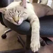 ソルリ