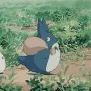 ノリの画像