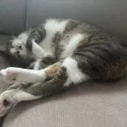 うるの画像