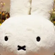 もりーの画像