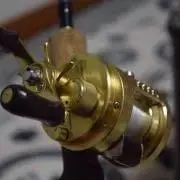 CeoooO