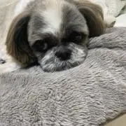 Tsuyoshi
