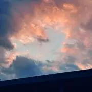 にくきゅうの画像
