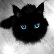 ナミッ