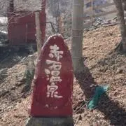 ぎんさんの画像