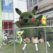seee04の画像