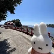 ななほしの画像
