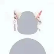 natの画像
