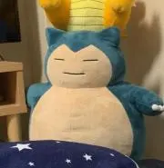 達磨の画像