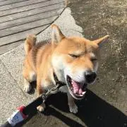 renの画像